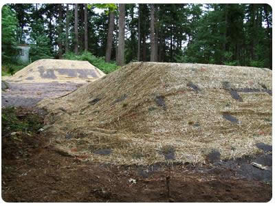 Two Glendon pods installed away from each other. One advantage to this system is that the "pods" can be separated, whereas a standard mound is typically one continuous long bump.